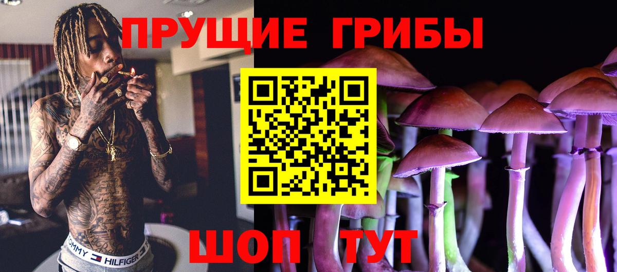 Галлюциногенные грибы Psilocybe  Галлюциногенные грибы мухоморы  Трёхгорный  Вход с VPN 