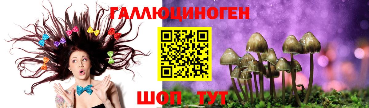 Галлюциногенные грибы MAGIC MUSHROOMS Трёхгорный